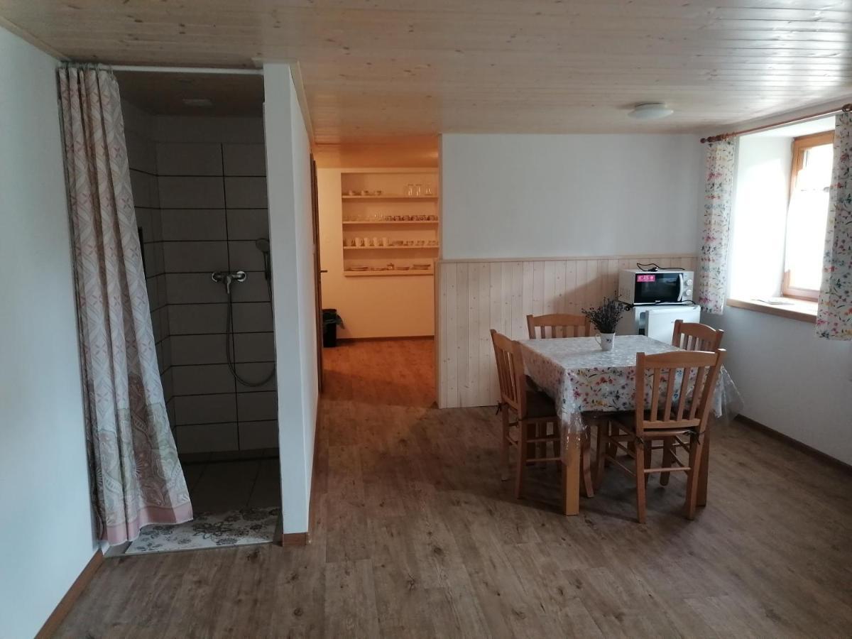 Apartman Na Statku Jílovice Buitenkant foto